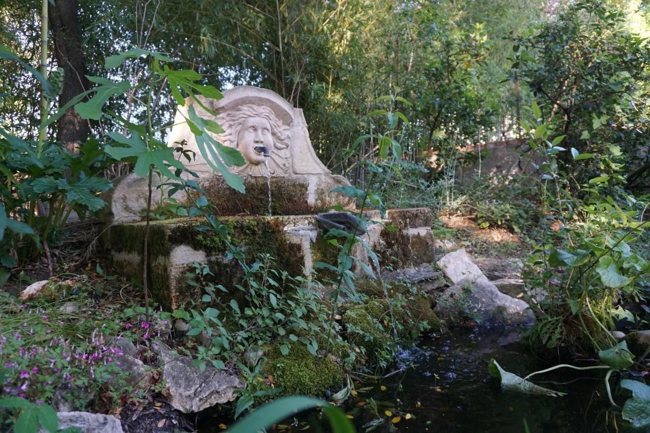 莱斯杜图尔住宿加早餐旅馆 Brignon 外观 照片